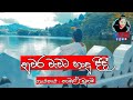 නුවර වැවට හාදු දිදී  |  නාමල් උඩුගම  |  Nuwara wawata hadu didi | namal udugama | Cover Lyrics