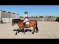 FIRST RIDE ON OUR NEW PONIES! - ESME AND DOROTHY RIDE TASHA AND BAMBI FOR THE FIRST TIME!