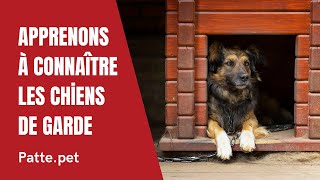 Apprenons à Connaître Les Chiens De Garde