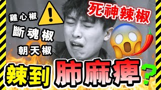 【🔥世界上最辣的辣椒粉！？】著名「死神辣椒」、斷魂椒、魔鬼椒...混合的辣粉！🥵真正辣上腦入心入肝！(中字)