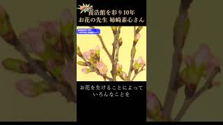 やろっさFUKUI「養浩館を彩り10年－お花の先生 姉崎素心さん－」#shorts #生け花