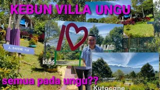 Wisata KEBUN VILLA UNGU di puncak gunung Kutacane Aceh Indonesia 🏞 spot poto Agara !