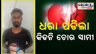 ଧରା ପଡିଲା କିଡ଼ନୀ ଚୋର ସ୍ୱାମୀ | Odia News Live Updates | Latest Odia News | Samayalive