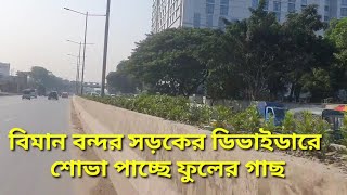 বিমান বন্দর সড়কের ডিভাইডারে বাহারি ফুলের গাছ। airport road।  dhaka city।