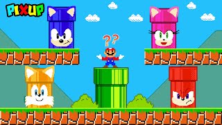 PIXUP Super Mario Bros. If Mario More Custom Pipe All SONIC CHARACTER