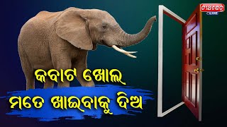 କବାଟ ଖୋଲ ମୋତେ ଖାଇବାକୁ ଦିଅ || Teerthkhetra Live