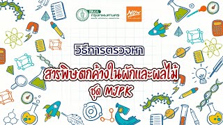 กรุงเทพมหานคร: สาธิตการตรวจสารพิษตกค้างในผักผลไม้ ชุด MJPK