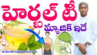 హెర్బల్ టీ మ్యాజిక్ సీక్రెట్ ఇదే? | Herbal TEA Magic Secret | Dr Manthena Satyanarayana Raju Videos