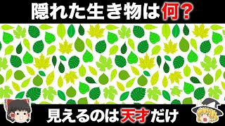 【ゆっくり解説】あなたは見える？天才だけが分かる診断クイズ