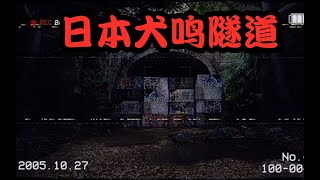 【鬼叔怪谈】日本八大都市传说，揭秘“犬鸣隧道”诡异事件！