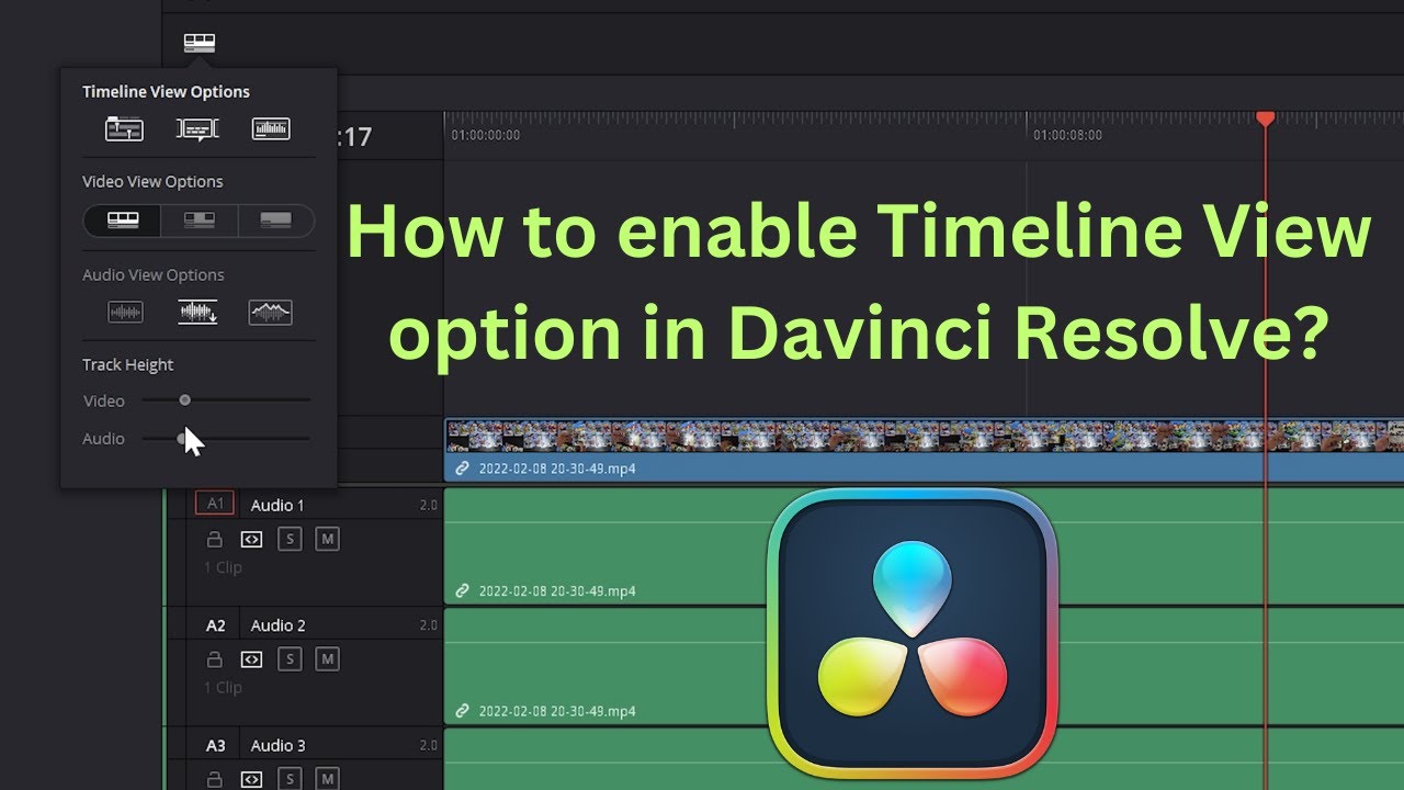 How To Enable Timeline View Option In Davinci Resolve Youtube