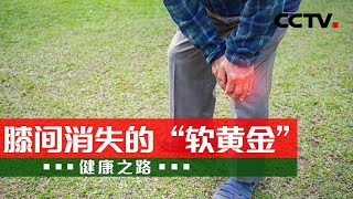 膝关节疼千万不能忍！骨科医生告诉你 20210604 |《健康之路》CCTV科教