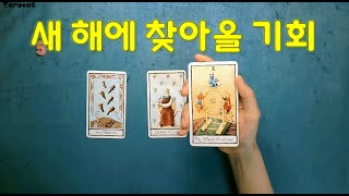 [타로카드] 20년에 찾아올 기회