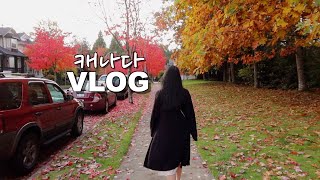 드디어 오픈한 랭리 티앤티 같이 구경해요 / 애플🍎매장에서 털린 내 영혼 / 초간단 단풍놀이 / 캐나다 밴쿠버 브이로그