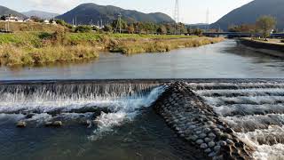 秋の阿木川　魚道工