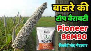 बाजरे की रिकॉर्ड तोड़ पैदावार देने वाली वैरायटी Pioneer 86M90 | Bajre ki Top Variety