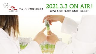 【#26】こちらアルビオン白神研究所！２０２１年３月３日放送分