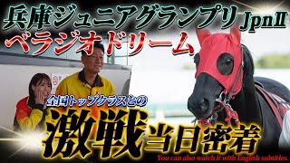 「ベラジオドリーム」兵庫ジュニアグランプリJpn2当日～全国トップクラス2歳馬との激戦～【ベラジオch】