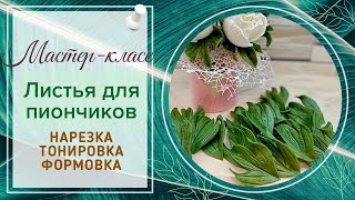 🌿Создание листвы для пионов из изолона🌿/Мини мк/DIY/leaves for peony from isolone and foam