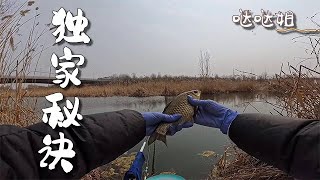 【噠噠姐釣魚】這就是我的獨家秘籍，調四釣二  #钓鱼 #机车  #机车女孩 #空军 #户外 #骑行 #野钓