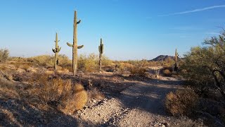 Riding our friends #sidebyside in the Desert Thank You Becky and Lenny. Fun times