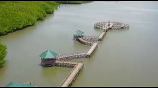 IRA RISWANI | Perkenalan Tempat Wisata Hutan mangrove Sinjai Timur