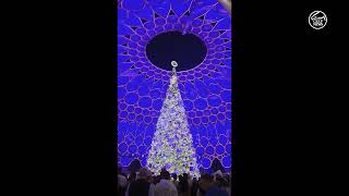 Tree lighting ceremony at Winter City, Expo City Dubai.