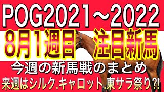 POG2021〜2022 8月1週目　新馬戦　出走予定馬　注目馬はコレだ‼︎【一口馬主】フォラブリューテ　アルファカリーナ　東サラ絶好調⁈