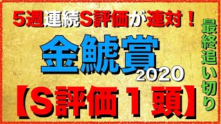 金鯱賞2020【最終追い切り】S評価１頭！