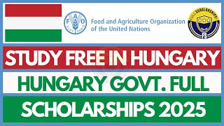 How to Apply for Hungary Government International Scholarships Without IELTS 2025 for Free Online