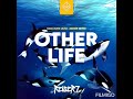 Reiser Seven - Other Life (Birat Bitz Remix)