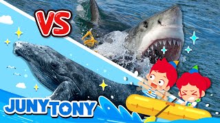 Sharks, Assemble!｜Great White Shark vs. Orca｜+ More Animal Songs｜Kids Songs & Stories｜JunyTony