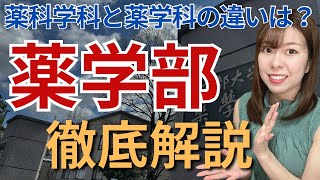 【解説】京大薬学部卒が語る！薬学部徹底解説！薬科学科と薬学科の違いも解説！