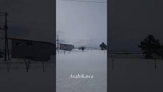 Asahikawa