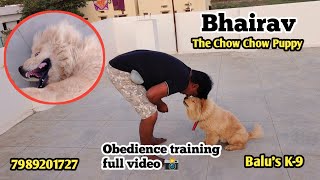 Chow Chow Puppy Bhairav obedience training full video 📸 @BalusK9Dogtraining #support #puppy #dog