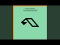 Midnight (Mixed)