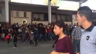 Banda Perla De Michoacan - La Culebra