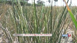 Farmers  anxiety over  crop insurance in Sivagangai | Tamil Nadu | News7 Tamil