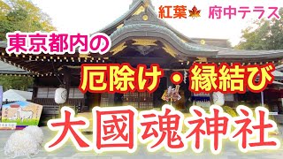 [紅葉]府中駅から徒歩5分！東京の観光名所パワースポット、大國魂神社～ライトアップやランチができる府中テラスもご紹介♪