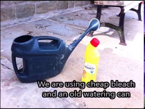 How to clean paving slabs with bleach and water How to clean paving slabs with bleach and water