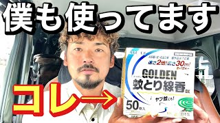 僕が実際にしている蚊対策はこの商品が必須！！【ユスリカ】【ヤブ蚊】