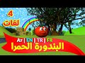 البندورة الحمرا باللغات الأربع ( العربية - الإنجليزية - التركية - الفرنسية ) | طيور بيبي Toyor Baby