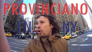 Lobo solitario en Nueva York | Provinciano en NY