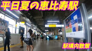 【平日昼間の様子】恵比寿駅構内を散策！山手線、湘南新宿ライン(Japan Walking around Ebisu Station)