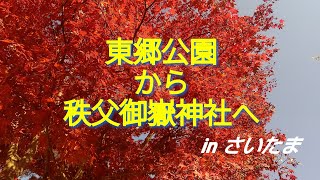 【秩父御嶽神社へ参拝】紅葉の東郷公園から秩父御嶽神社へ登る