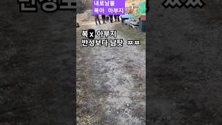 SK 델레콤 직원 분들도 복X 건들지 마요 아부지 엄마 내로남불 주의 ⚠️ 복아가 땅 계약서 작성후 점점더 불법적인 생활들이 당당해져 가는 서울대 수학과 엄마 아빠들 욕 왜 자꾸해