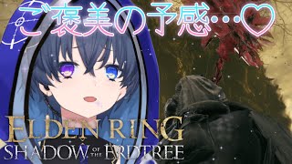 【ELDEN RING】カスなエイムで突き進む！フロム初心者なL.LLC会社員がエルデンリングDLCの世界を突っ走る記録#82