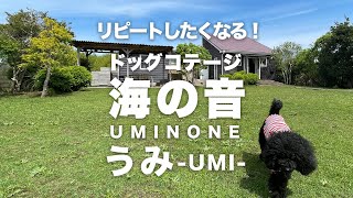 プライベートドッグランになる 約150坪の庭が魅力の貸別荘ドッグコテージ海の音(うみのね)「うみ」@愛犬と行く千葉県九十九里 2022.5.9～11