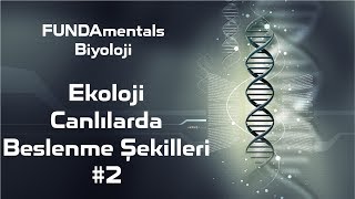 Ekoloji #2 Canlılardaki Beslenme Şekilleri