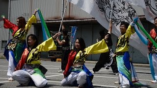 YOSAKOIソーラン日本海彦根2016「チーム飛龍」6/18(土)JA稲枝会場